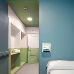 بيت شباب Loop